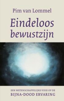 ten Have Eindeloos bewustzijn - eBook Pim van Lommel (9025970001)