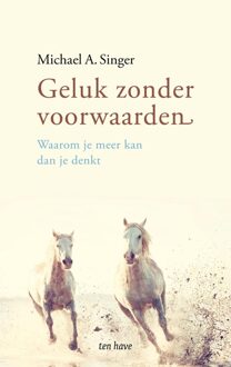 ten Have Geluk zonder voorwaarden - eBook Michael A. Singer (9025904769)