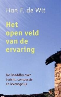ten Have Het open veld van de ervaring - eBook Han F. de Wit (9025902618)