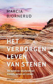 ten Have Het verborgen leven van stenen - Marcia Bjornerud - ebook