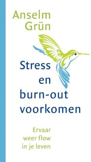 ten Have Stress en burnout voorkomen - eBook Anselm Grün (9025904084)