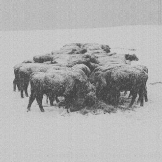 Ten Times The World Lied