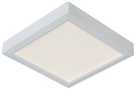 TENDO-LED Plafonnière 1xGeïntegreerde LED - Wit