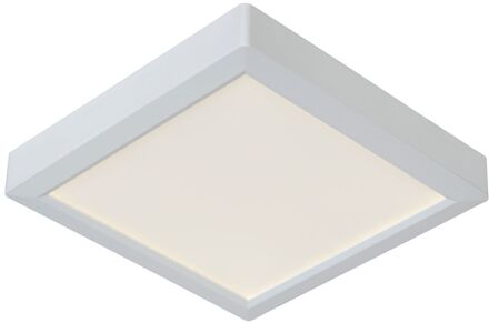 TENDO-LED Plafonnière 1xGeïntegreerde LED - Wit