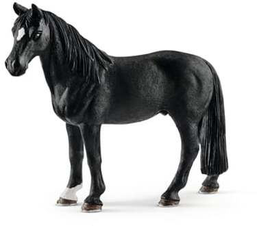 Tennessee Walker hengst 13832 Zwart