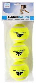 Tennisballen - 3x - voor honden - Buitenspeelgoed - Tennissen