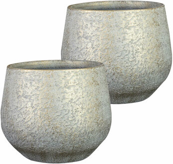 Ter Steege 2x stuks plantenpot/bloempot keramiek metallic zilvergrijs/gold finish - D27/H25 cm - Plantenpotten