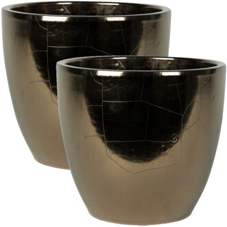 Ter Steege Bloempot - 2x stuks - goud - Scandinavisch - 20 x 19 cm