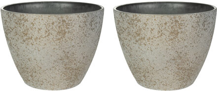 Ter Steege Bloempot/plantenpot - 2x - buiten - beige/goud - D13 en H12 cm - kunststof/steenmix