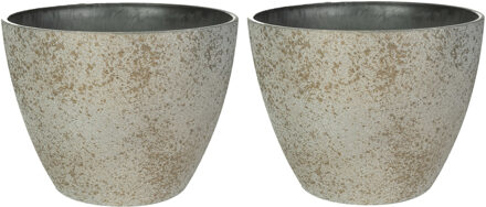 Ter Steege Bloempot/plantenpot - 2x - buiten - beige/goud - D29 en H22 cm - kunststof/steenmix