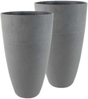 Ter Steege Bloempot/plantenpot hoog van gerecycled kunststof - 2x stuks - donkergrijs - D29 en H50 cm