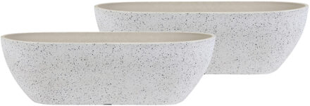 Ter Steege Plantenbak - 2x - balkon - kunststof - wit - 55 x 16 cm - Buiten gebruik