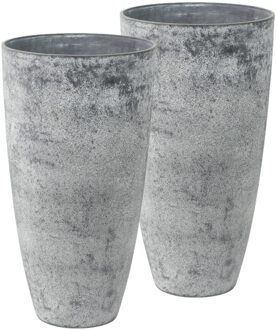 Ter Steege Plantenpot vaas - Set van 2x stuks - beton grijs - D29 / H50 cm - gerecycled kunststof - Bloempot