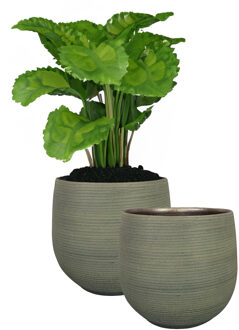 Ter Steege Steege Plantenpot - keramiek - donkergroen - stripes - D2xH32 cm