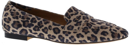 Tera spits penny lak | dames | maat: | lak - maat 41 Beige