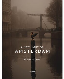 Terra - Lannoo, Uitgeverij A New Light On Amsterdam - Gosse Bouma