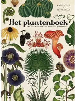 Terra - Lannoo, Uitgeverij Het plantenboek - Boek Katie Scott (9401437882)