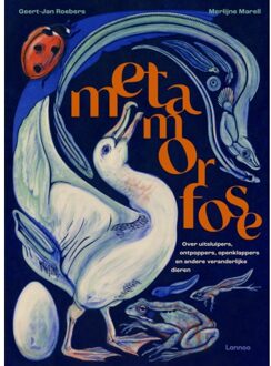 Terra - Lannoo, Uitgeverij Metamorfose - Geert-Jan Roebers