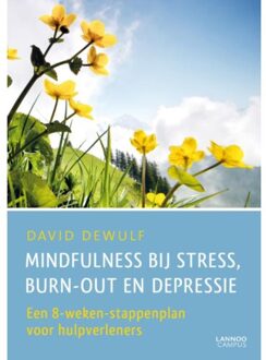Terra - Lannoo, Uitgeverij Mindfulness bij stress, burn-out en depressie - Boek David Dewulf (9401427119)