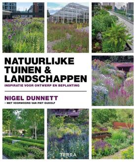 Terra - Lannoo, Uitgeverij Natuurlijke Tuinen & Landschappen - (ISBN:9789089898043)
