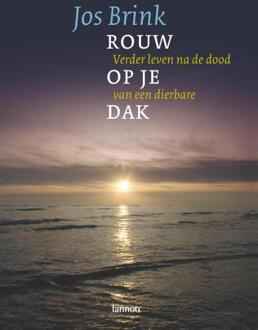 Terra - Lannoo, Uitgeverij Rouw op je dak - Boek Jos Brink (9020969862)