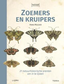 Terra - Lannoo, Uitgeverij Zoemers En Kruipers - Natuur Aan De Muur - Hans Mulder