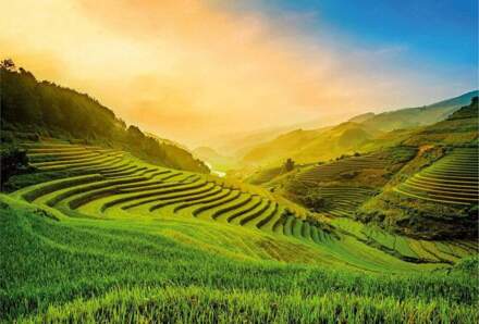 Terraced Rice Field In Vietnam Vlies Fotobehang 384x260cm 8-banen