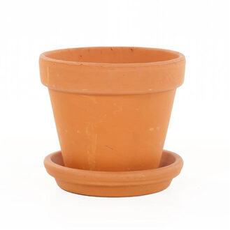 Terracotta pot met schotel (Oranje) - P21