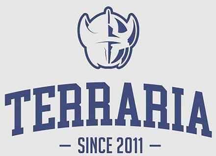 Terraria Since 2011 Kids' Sweatshirt - Grey - 122/128 (7-8 jaar) - Grey - M