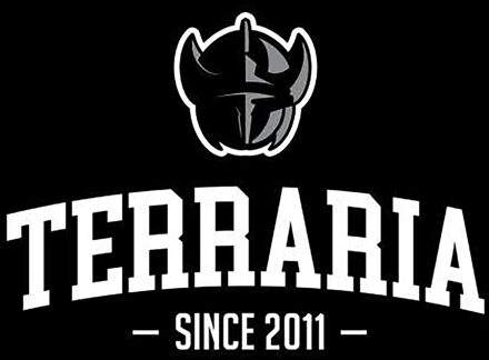 Terraria Since 2011 Kids' T-Shirt - Black - 122/128 (7-8 jaar) - Zwart - M
