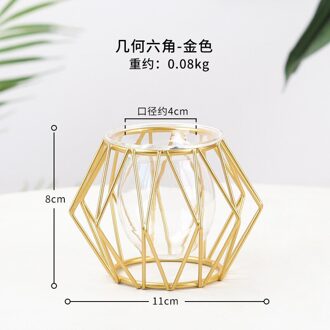 Terrarium Retro Ijzer Lijn Vaas Hydrocultuur Plant Bloem Vaas Woondecoratie Metal Plant Houder Nordic Stijlen Ijzer Vazen Ornament F