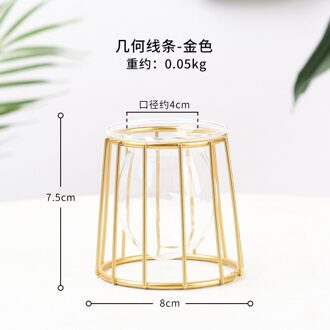 Terrarium Retro Ijzer Lijn Vaas Hydrocultuur Plant Bloem Vaas Woondecoratie Metal Plant Houder Nordic Stijlen Ijzer Vazen Ornament G