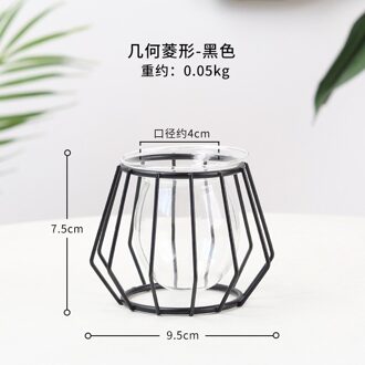 Terrarium Retro Ijzer Lijn Vaas Hydrocultuur Plant Bloem Vaas Woondecoratie Metal Plant Houder Nordic Stijlen Ijzer Vazen Ornament