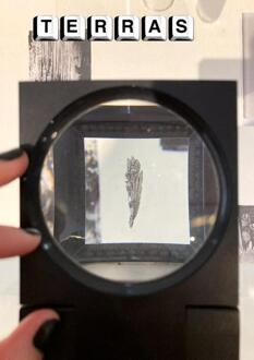 Terras 26 'Magia/No magia' -  Cristina Rivera Garza (ISBN: 9789083216065)