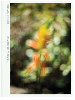 Terri Weifenbach: Cloud Physics - Terri Weifenbach