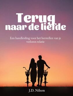 Terug naar de liefde - J.D. Nilson - ebook