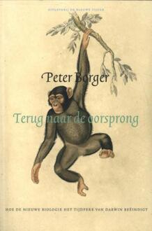 Terug naar de oorsprong -  Peter Borger (ISBN: 9789493262065)