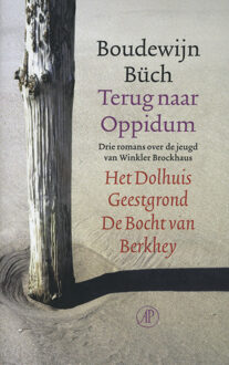 Terug naar Oppidum - eBook Boudewijn Büch (9029581085)