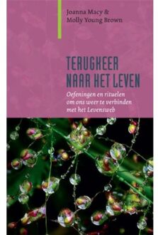 Terugkeer naar het leven - Boek Joanna Macy (9062245188)