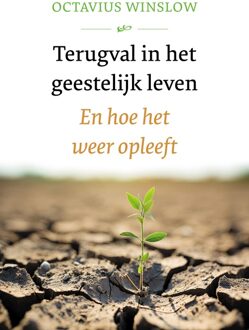 Terugval in het geestelijk leven - Octavius Winslow - ebook