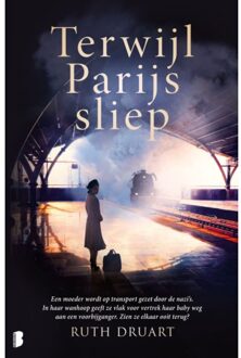 Terwijl Parijs Sliep - Ruth Druart