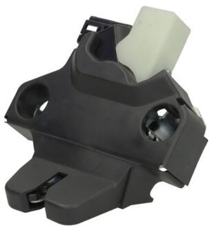 Tesla Achterklepslot 6010822314449PP