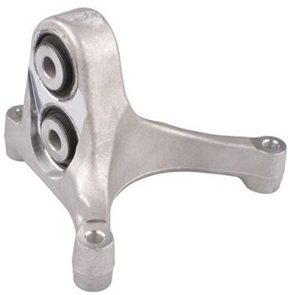 Tesla Aslichaam-/motorsteunlager TED24161