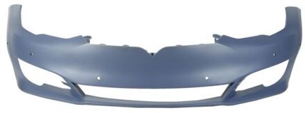 Tesla Bumper 5510007704900P