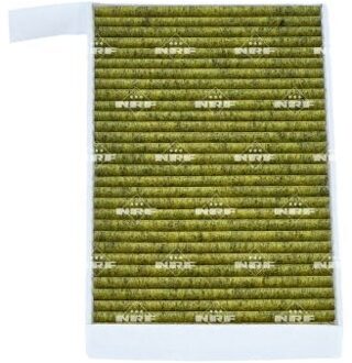 Tesla Interieurfilter 210005