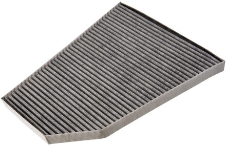 Tesla Interieurfilter ADBP250015