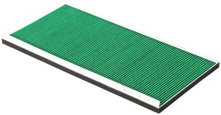 Tesla Interieurfilter Carbon+ CC0580C