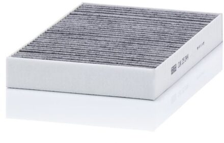 Tesla Interieurfilter CUK25044