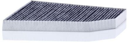 Tesla Interieurfilter CUK33007