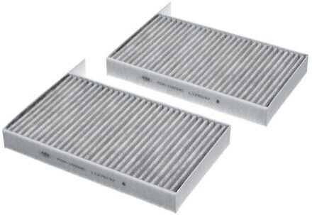 Tesla Interieurfilter FCA10034C